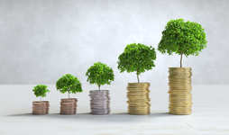 croissance investissement image firidis